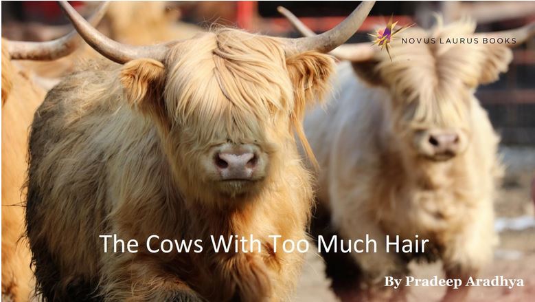 The Cows with Too Much Hair