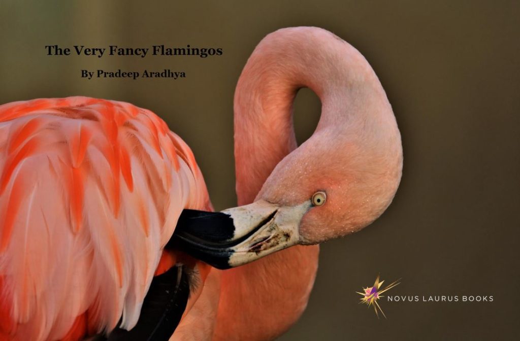 The Very Fancy Flamingos