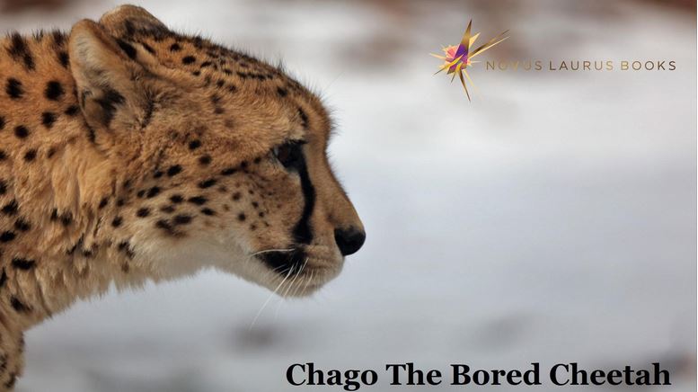 Chago the Bored Cheetah