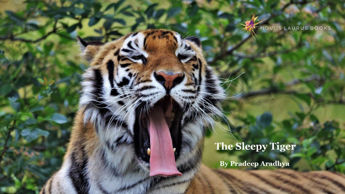 The Sleepy Tiger