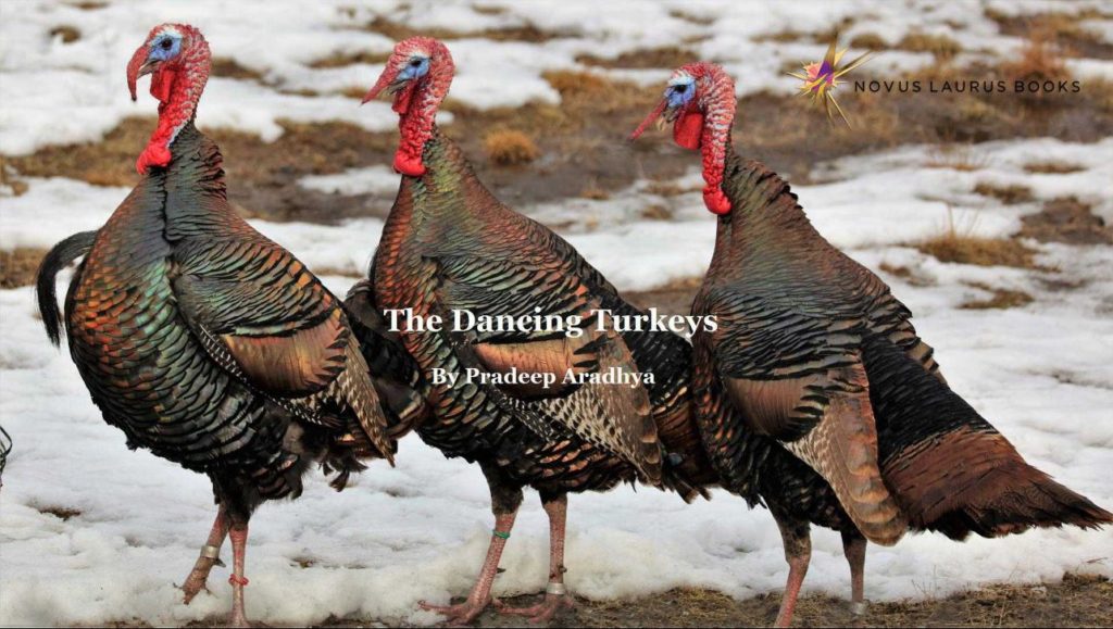 The Dancing Turkeys