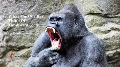 What The Gorillas Think Of Tambwe’s Teeth