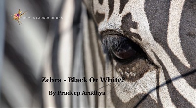 Zebra – Black or White?