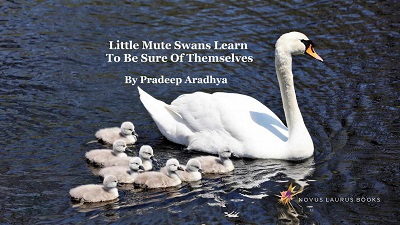 Little Mute Swans Learn To Be Sure Of Themselves