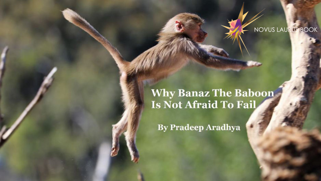 Why Banaz The Baboon Is Not Afraid To Fail